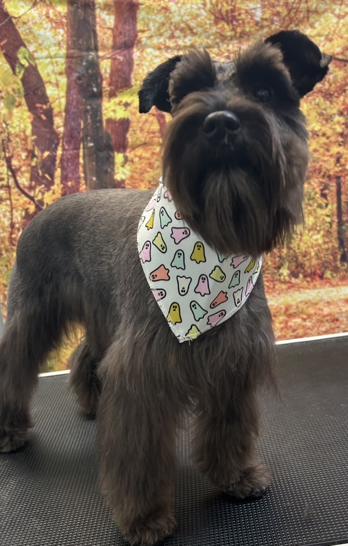 Marvin Maurice after a haircut, wearing a ghost-print bandana in front of a fall forest backdrop.